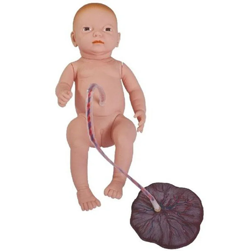 
			132 Modelo de enfermería del cordón umbilical neonatal		