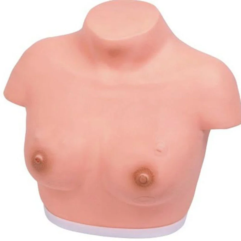 
			14A Inspección y palpación del modelo de mama		