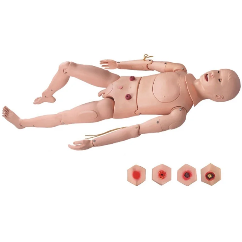 
			Maniquí de enfermería básica del año 2000 ARI Equipos médicos de alta calidad		