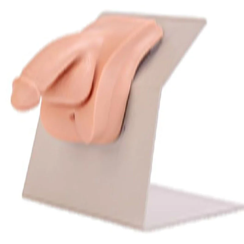 
			Modelo de cateterismo urinario masculino tipo vestido de alto grado 28E		