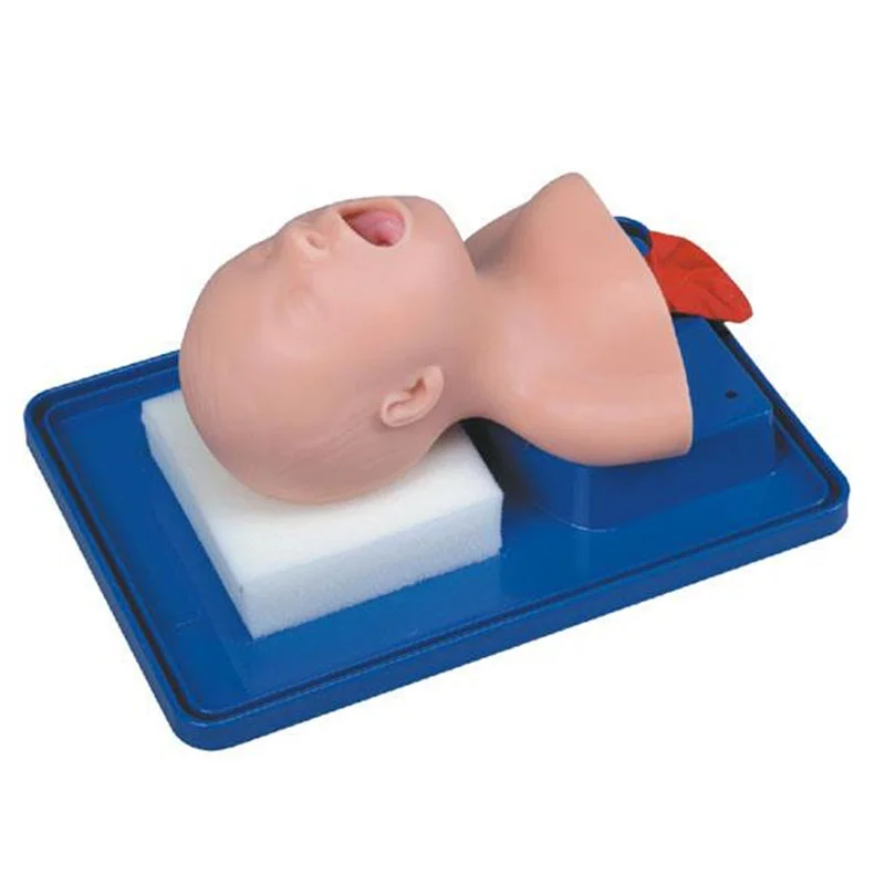 
			Modelo de entrenamiento para intubación traqueal en neonatos 2A ARI Equipos médicos de alta calidad		