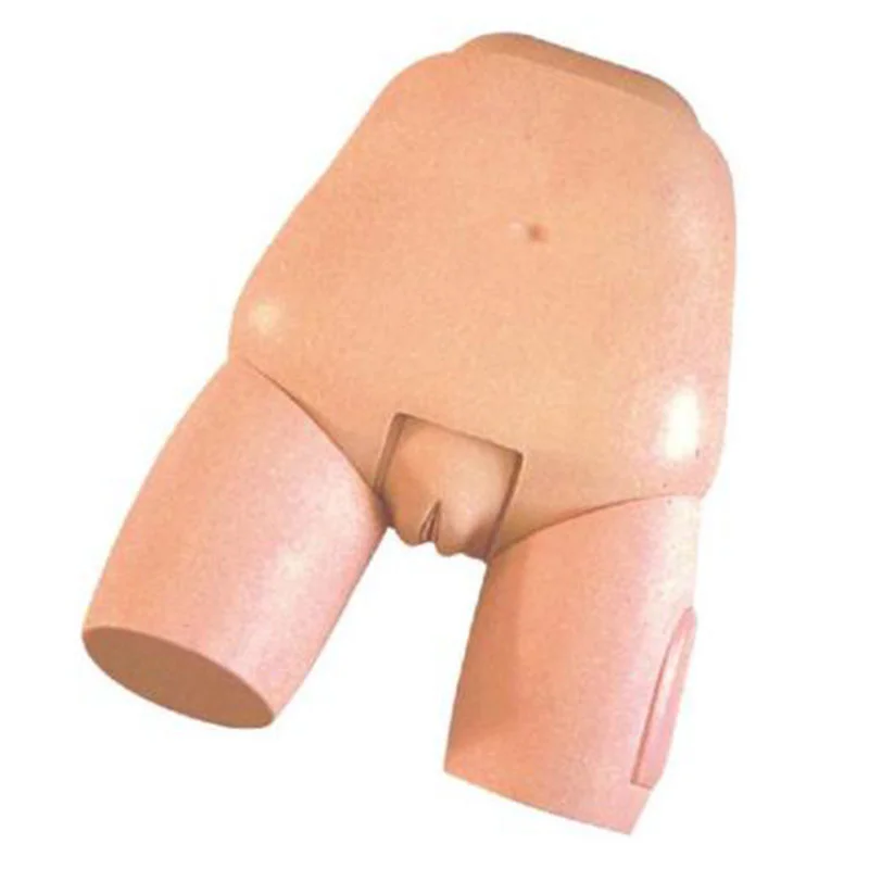 
			31 Modelo de examen y evaluación del fondo del útero		