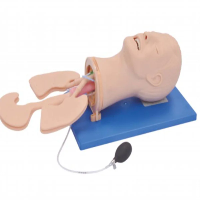 
			51 Modelo de gestión de la vía aérea		