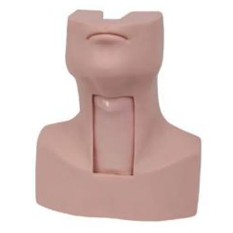 
			58 Simulador de traqueotomía Tirocricocentesis avanzada		