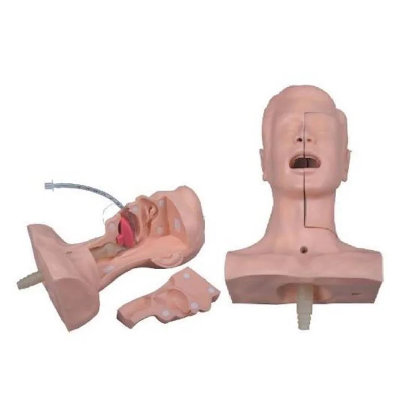 
			Modelo de entrenamiento de succión 60		