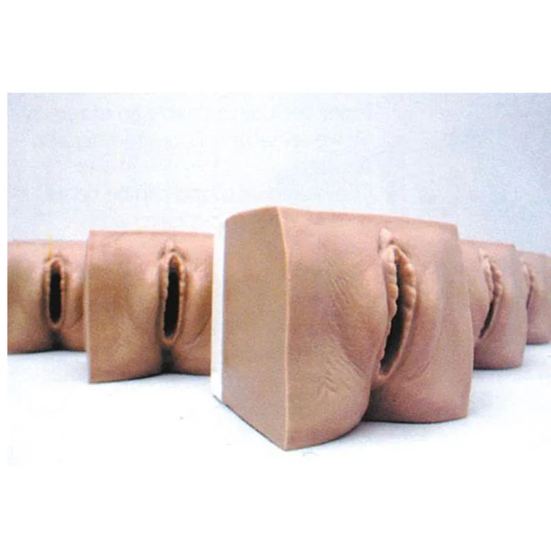 
			Modelo 9A de cuello uterino prenatal y canal de parto ARI Equipos médicos de alta calidad		