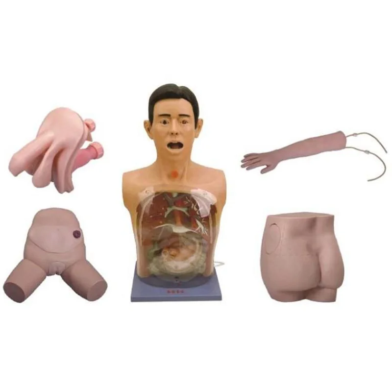 
			Un maniquí de enfermería básico		