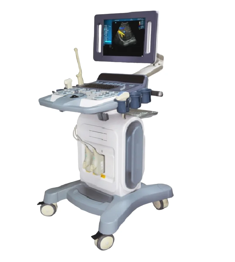 
			Escáner de ultrasonido Doppler color digital AR-K12		