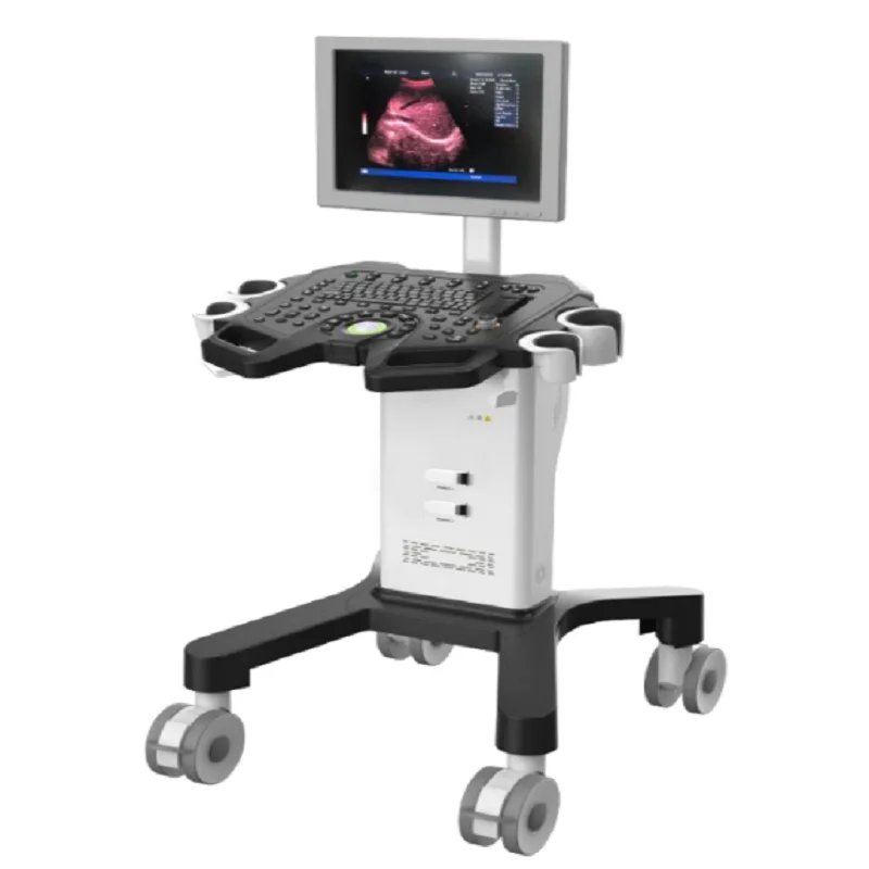 
			Escáner de ultrasonido digital en blanco y negro AR-K2		