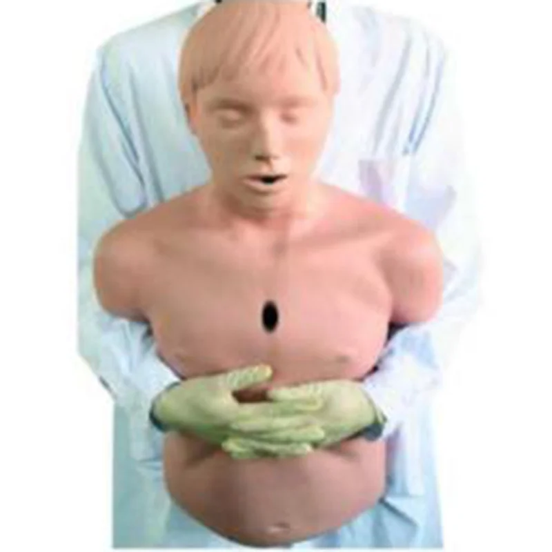 
			Modelo de obstrucción para adultos CPR155 ARI Equipos médicos de alta calidad		