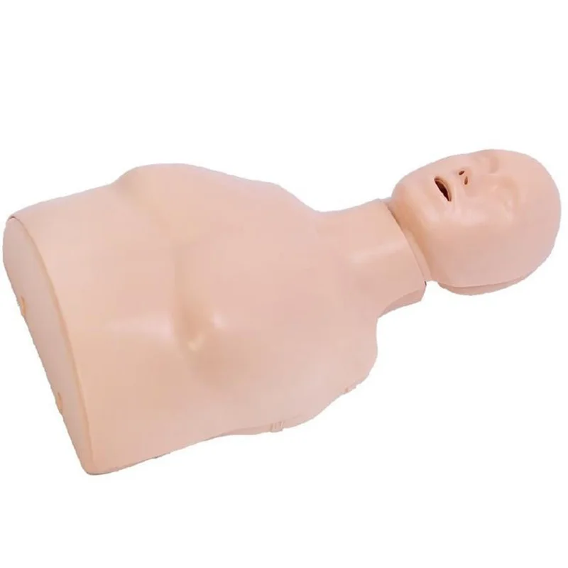 
			Maniquí de entrenamiento de RCP de medio cuerpo CPR167 ARI Equipos médicos de alta calidad		