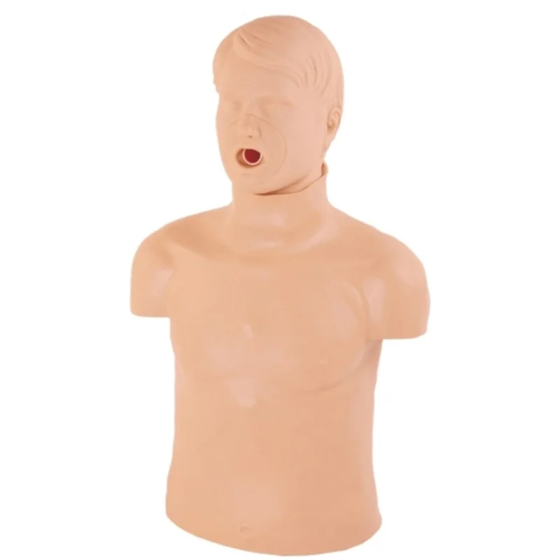 
			Maniquí de entrenamiento de RCP de medio cuerpo CPR169 ARI Equipos médicos de alta calidad		