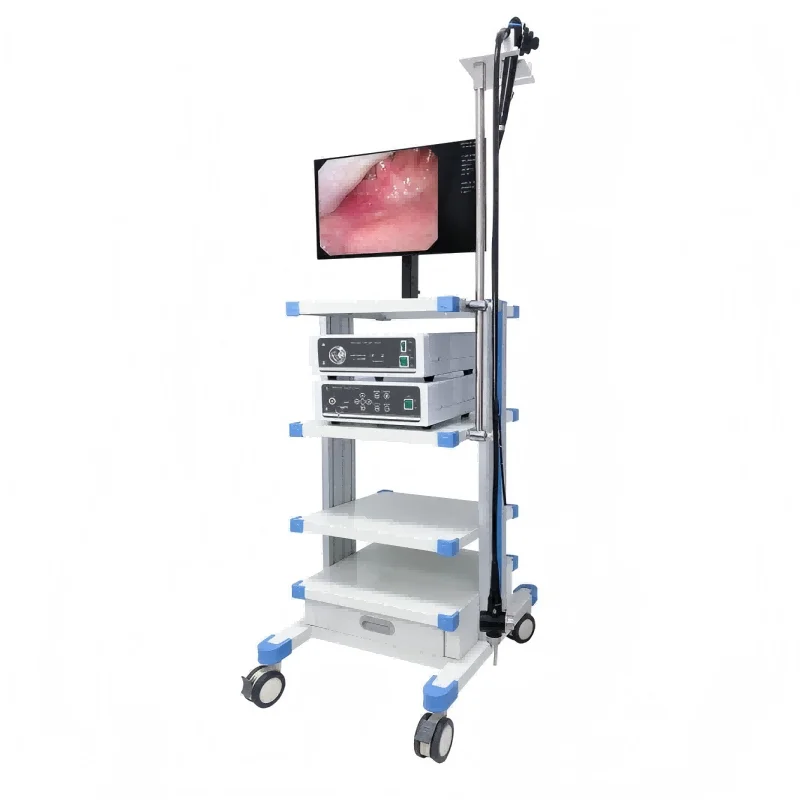 
			Videocolonoscopio ECV-600		