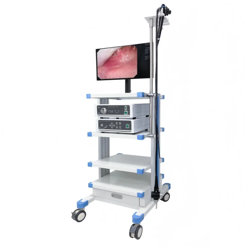 
			Videogastroscopio EMV-200		