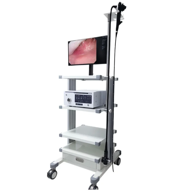 
			Videogastroscopio EMV-200+ECV-600+Videocolonoscopio		