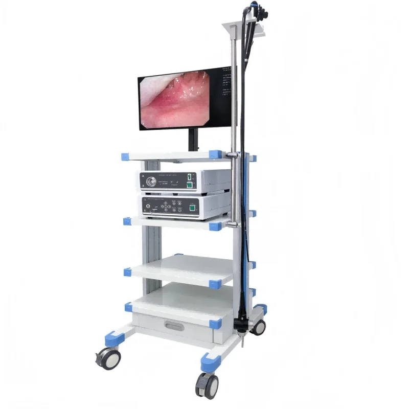 
			Videogastroscopio EMV-200E+ECV-600E+Videocolonoscopio		