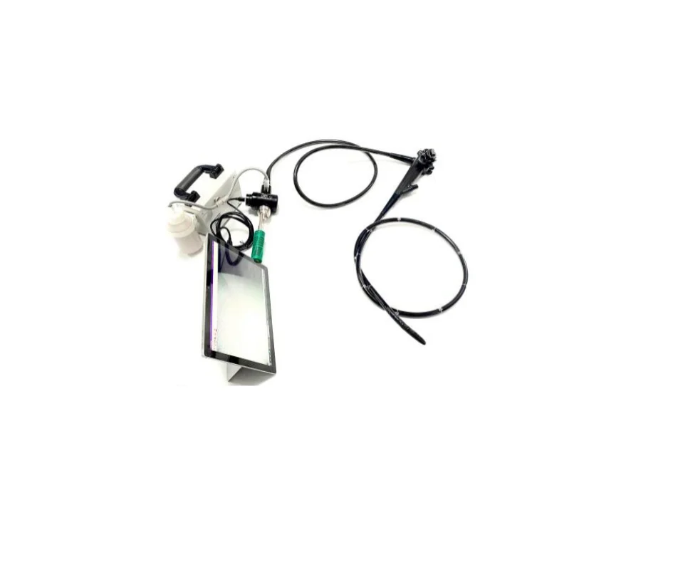 
			Duodenoscopio de vídeo USB portátil EMV-400D		