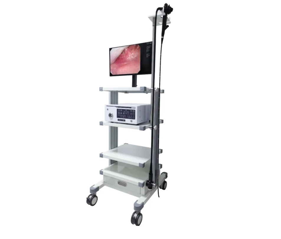 
			Cistoscopio de vídeo EVC-5		