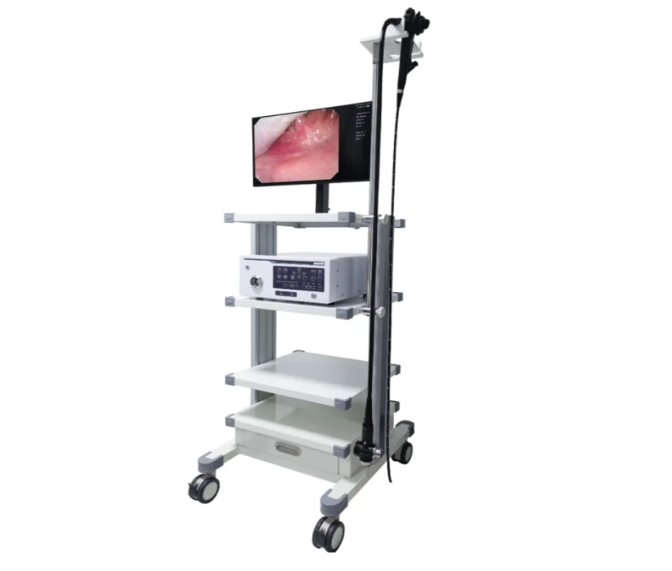 
			Videolaringoscopio EVR-5		