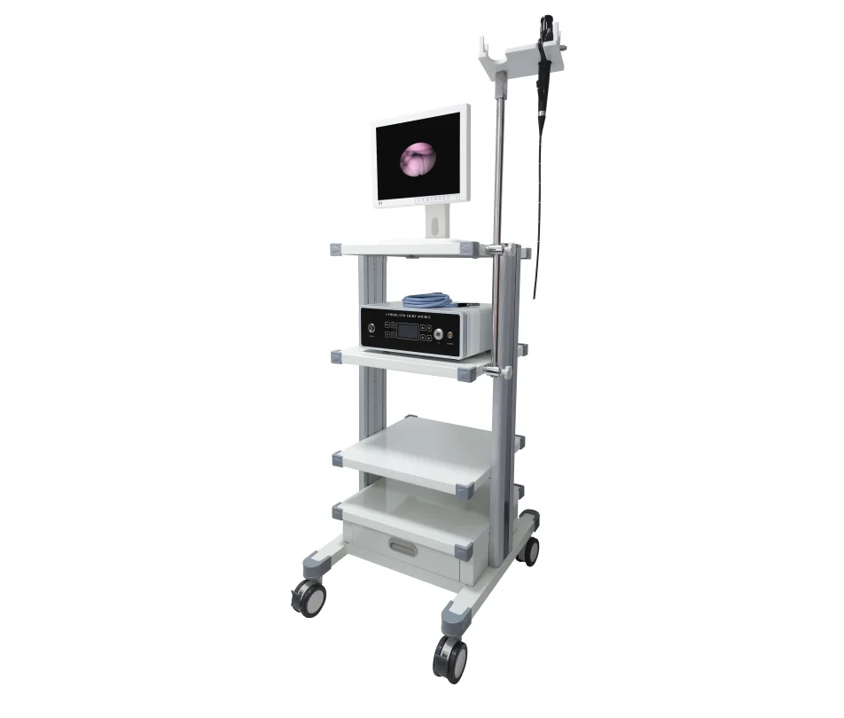 
			Nasofaringoscopio de fibra GBS-9		