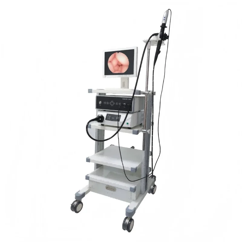 
			Colonoscopio de fibra GEF-1650		