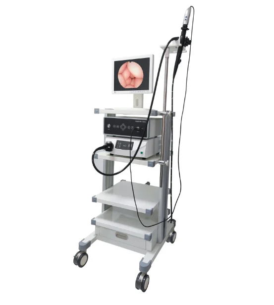 
			Fibrogastroscopio GES-300A		