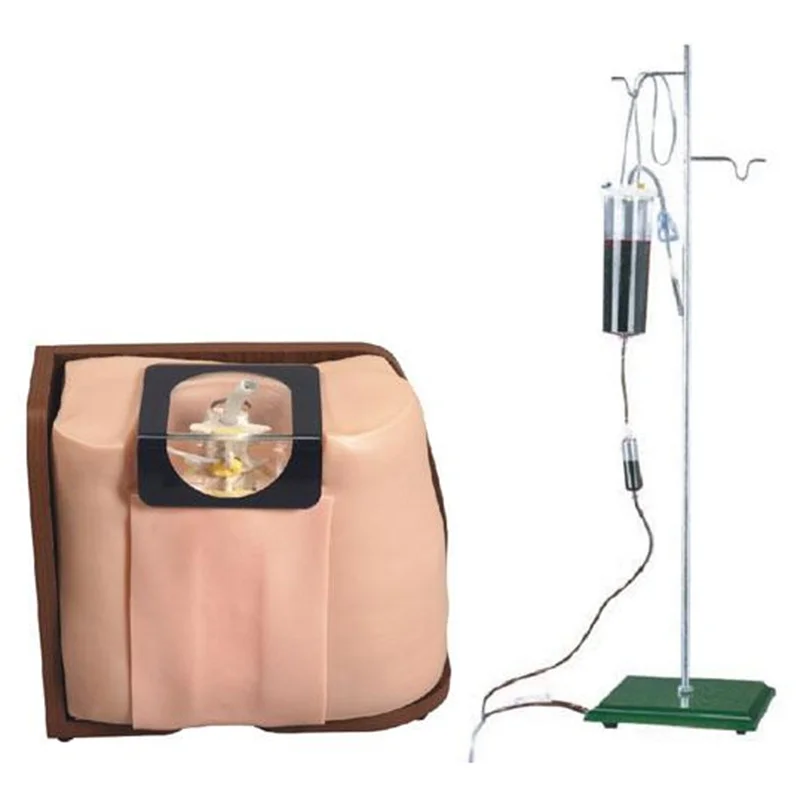 
			Modelo de punción vertebral L60		