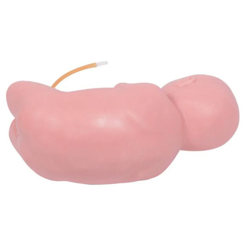 
			Modelo de punción lumbar neonatal L60A ARI Equipos médicos de alta calidad		