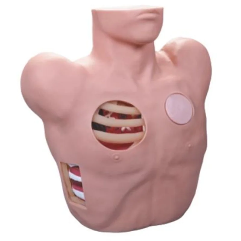 
			Modelo de drenaje de toracocentesis L66 ARI Equipos médicos de alta calidad		