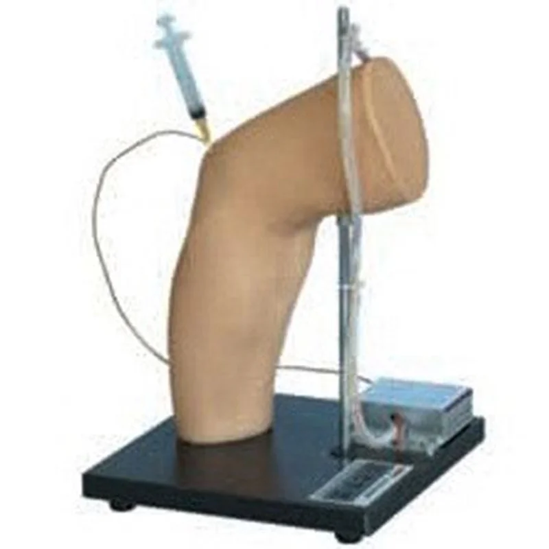 
			Modelo de inyección de cavidad de codo L71 ARI Equipos médicos de alta calidad		