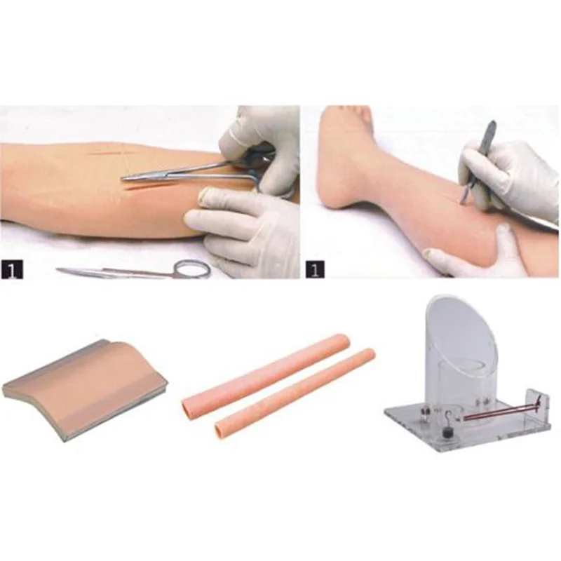 
			Modelo de capacitación integral en habilidades quirúrgicas LV10		