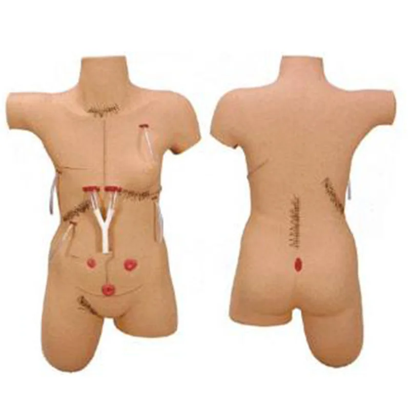 
			Modelo de sutura y vendaje quirúrgico LV18		