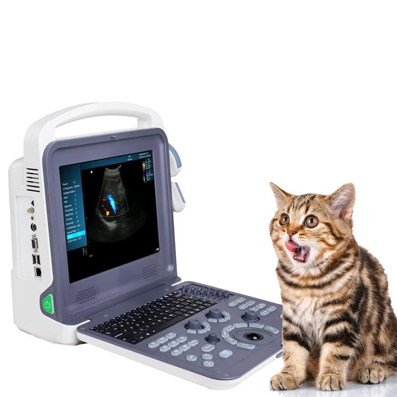 
			Escáner de ultrasonido Doppler color portátil para uso veterinario VC-U12 ARI Equipos médicos de alta calidad		