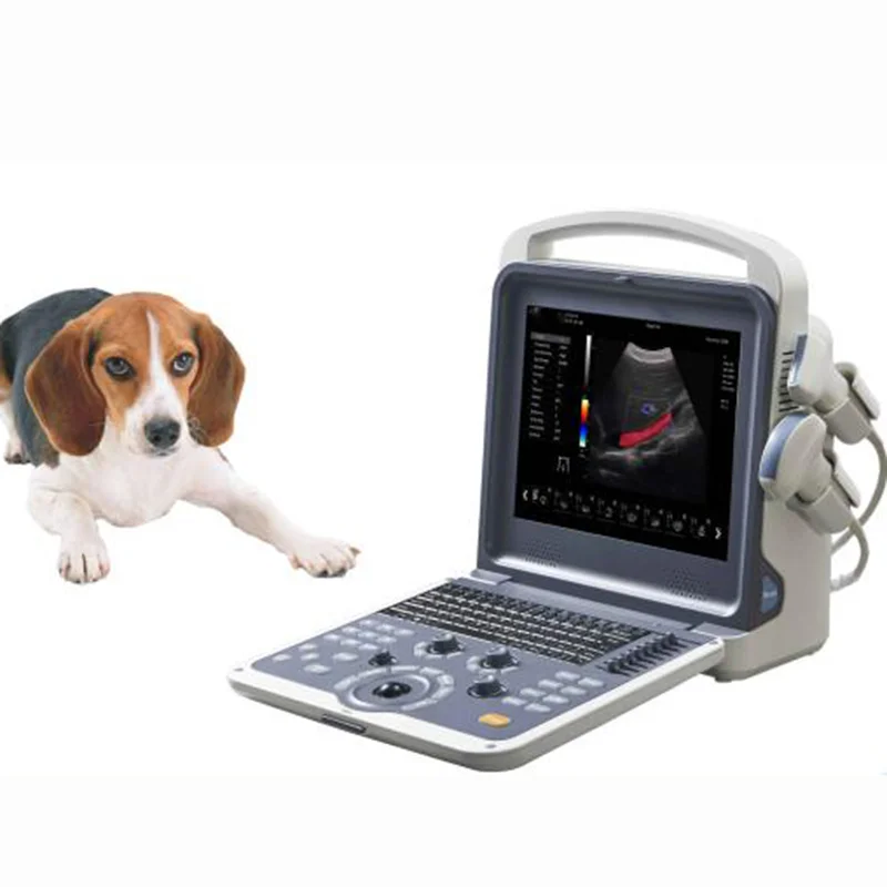 
			Escáner de ultrasonido Doppler color portátil para uso veterinario VC-U14 ARI Equipos médicos de alta calidad		