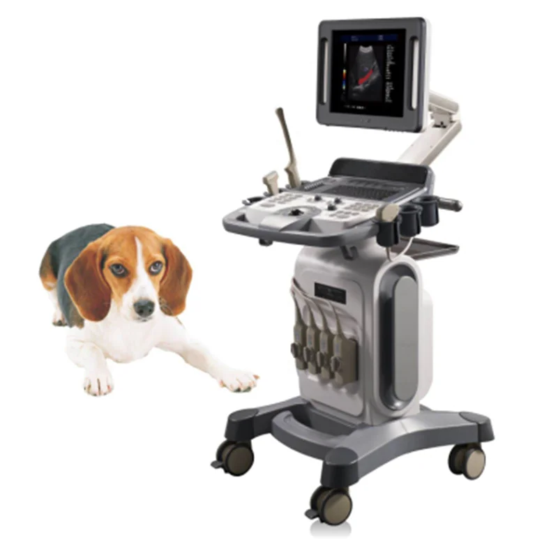 
			Escáner de ultrasonido Doppler color veterinario con ruedas VC-U16 ARI Equipos médicos de alta calidad		
