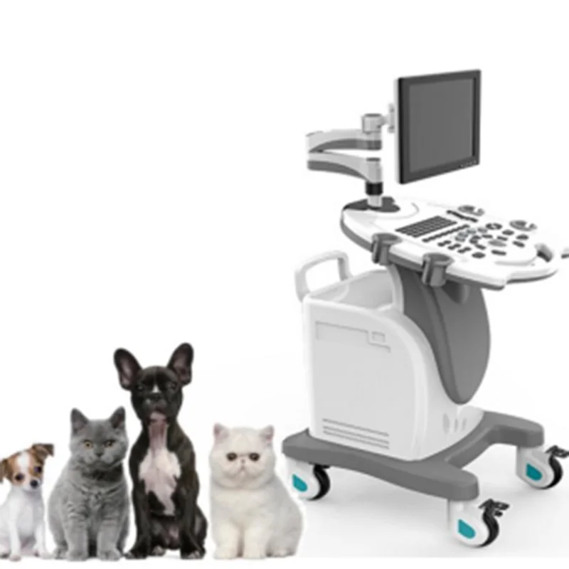 
			Escáner de ultrasonidos totalmente digital en blanco y negro VC-U35 con ruedas		