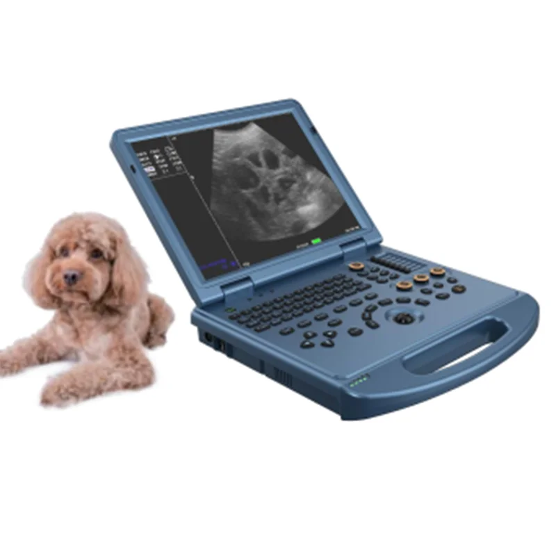 
			Escáner de ultrasonido Doppler color portátil VC-U6		