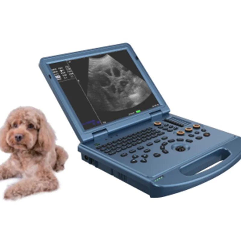 
			Escáner de ultrasonido Doppler color portátil VC-U6 Pro		