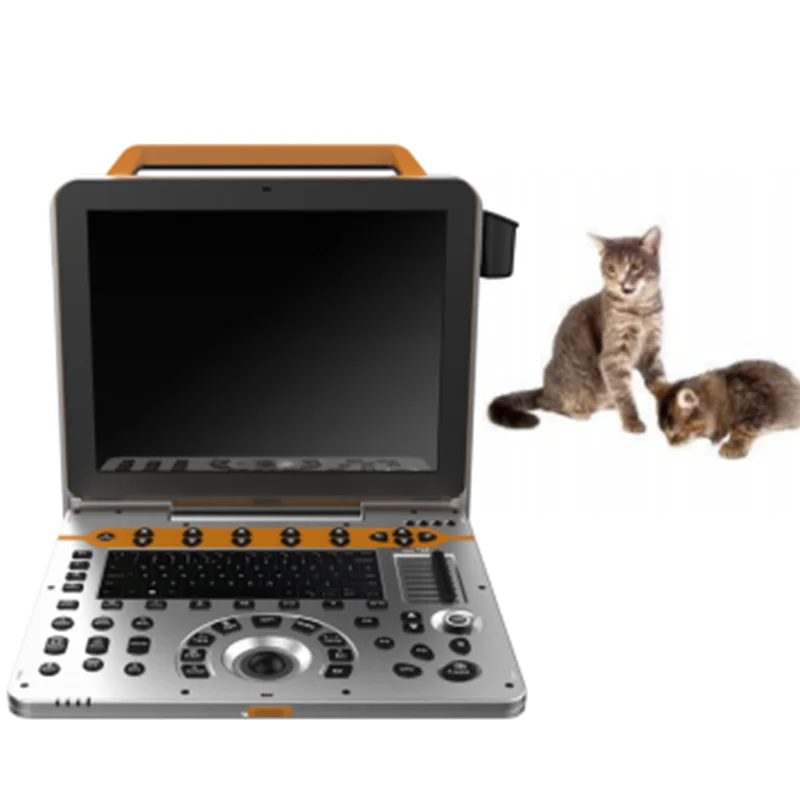 
			Escáner de ultrasonido Doppler color portátil para uso veterinario VC-U60 ARI Equipos médicos de alta calidad		