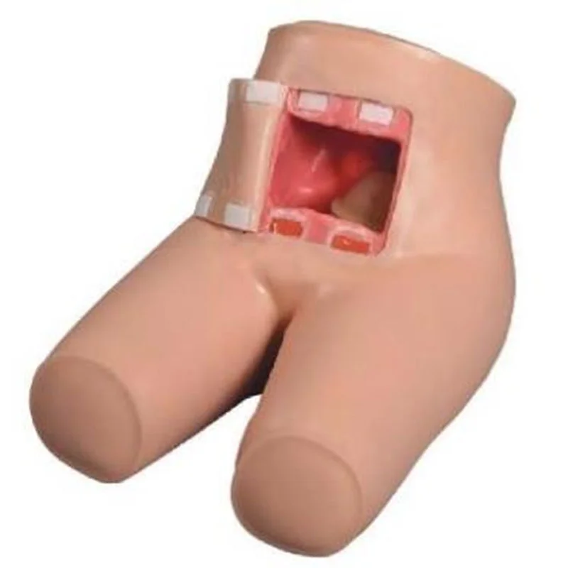 15 Enema and Assisted Defecation Training Model