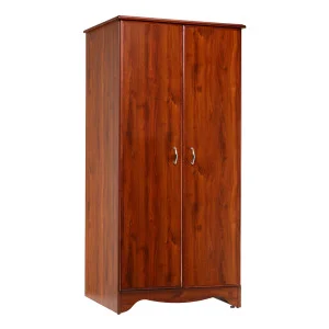 2 Door Wardrobe | Cabinets | Furniture | Patient Room | Products | Henyuan Medical
