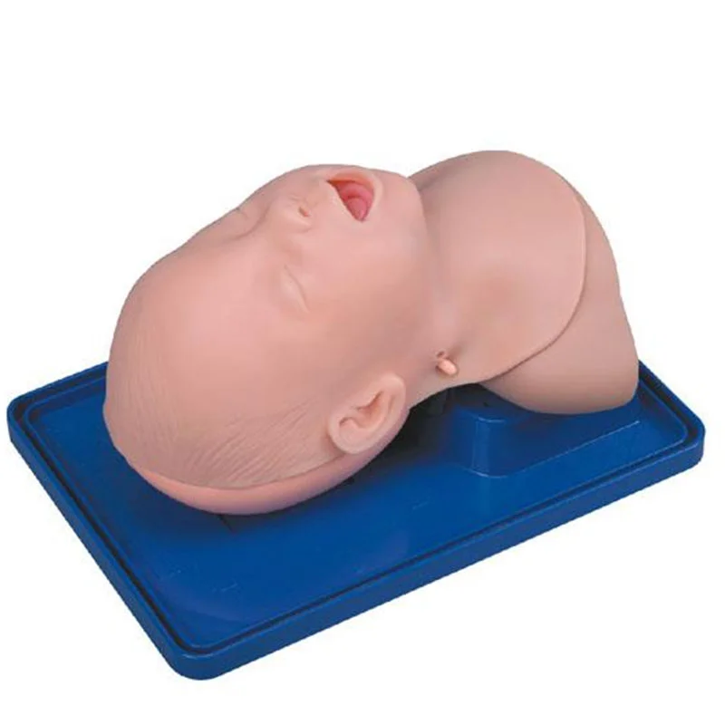 3A Infant Trachea Intubation Model