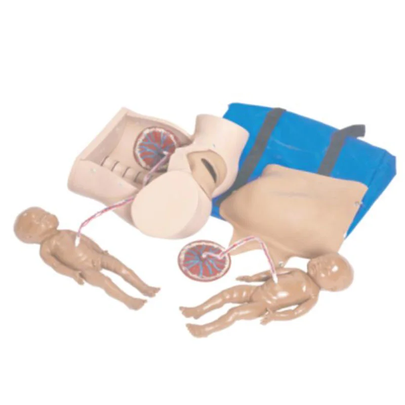 5A Childbirth Skill Training Simulator