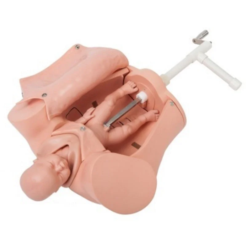 5B Advance Childbirth Skill Training Model