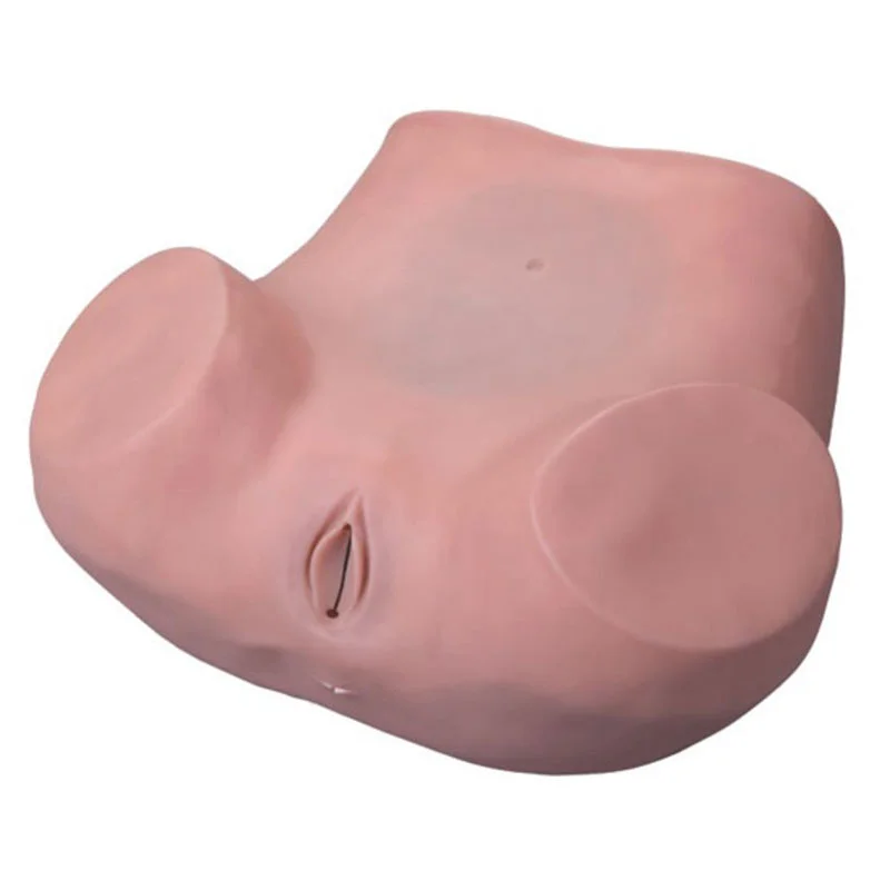 6 Gynecological Training Model