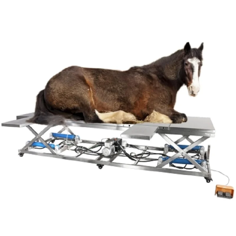 VOT-05 Veterinary Operating Table (Electric-hydraulic, for bull and horse)