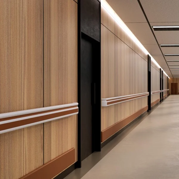 China 2025 Best Sale Wall Mounted PVC Hospital Corridor Handrail factory and manufacturers | Henyuan Medical